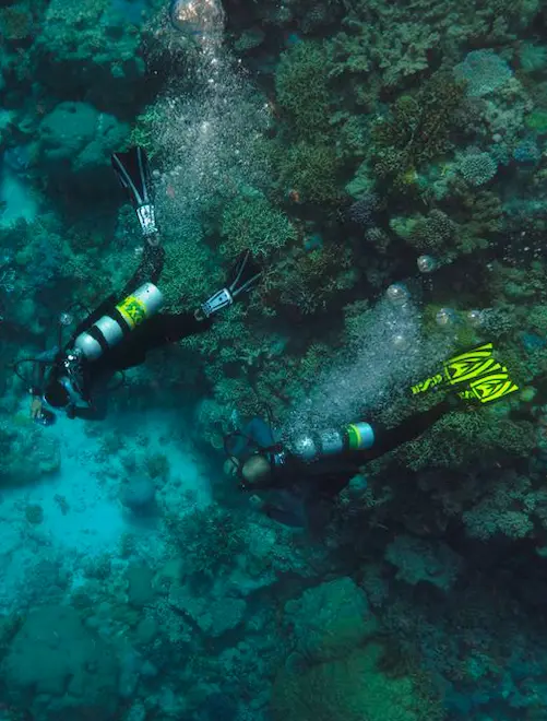 Cours Nitrox Khao Lak Plongée Similan - SSI PADI CMAS