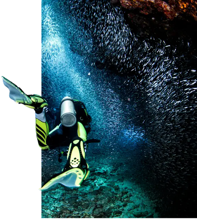 Cours SSI Plongée Profonde Khao Lak Similan - Certification CMAS PADI