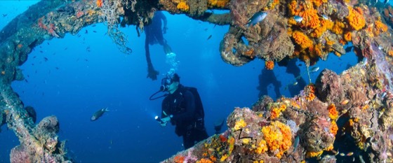 plongee epave king cruiser phuket thailande