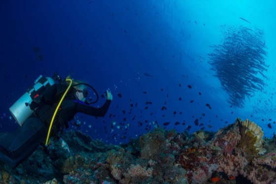 croisiere safari plongee phi phi similan richelieu rock