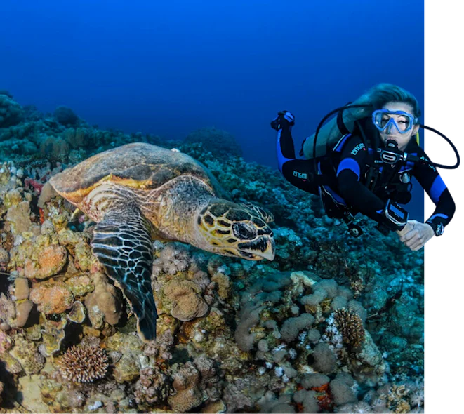 Open Water Khao Lak Similan - Certification Plongée SSI CMAS PADI