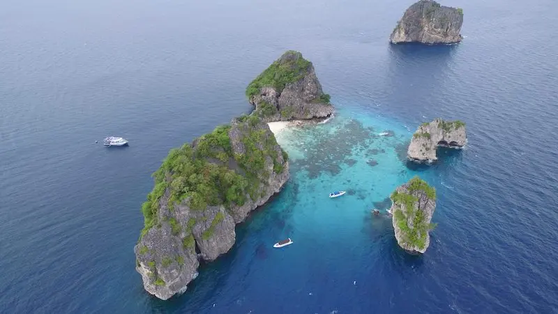Coraux mous des îles du Sud